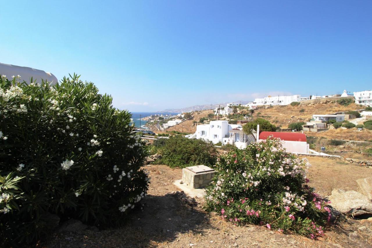Crystal View Mykonos Aparthotel Mykonos Town Exteriör bild